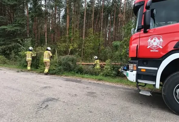 OSP Mońki usuwała powalone drzewa po wichurze