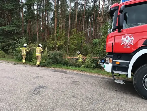 OSP Mońki usuwała powalone drzewa po wichurze