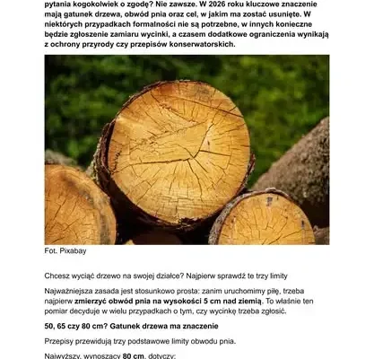 Wycinka drzew na działce – kiedy potrzebne jest zgłoszenie?