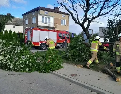 Drzewo na drodze powiatowej w Krypnie Kościelnym – interwencja OSP