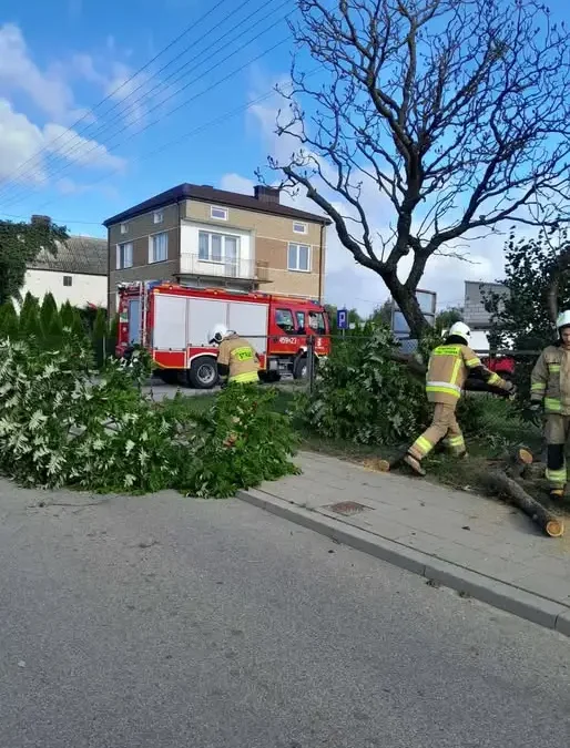 Drzewo na drodze powiatowej w Krypnie Kościelnym – interwencja OSP